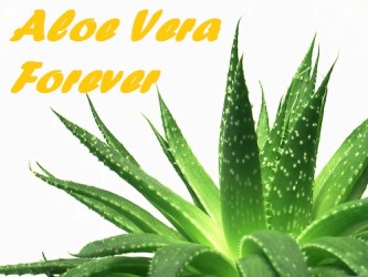 Aloe Vera Forever